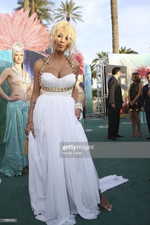 Ivy Queen feet photo 18