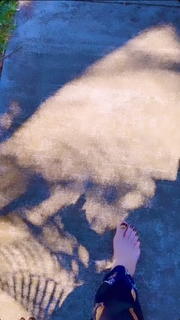 Ivy Queen feet photo 13
