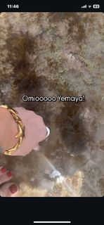 Ivy Queen feet photo 15