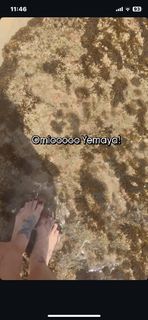 Ivy Queen feet photo 14
