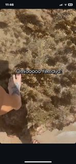 Ivy Queen feet photo 10