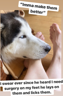 Izabella Miko feet photo thumbnail