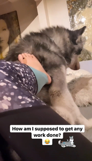 Izabella Miko feet photo thumbnail