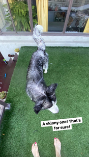 Izabella Miko feet photo thumbnail