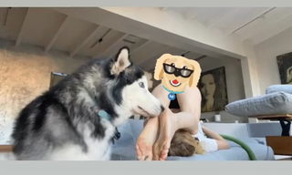 Izabella Miko feet photo thumbnail