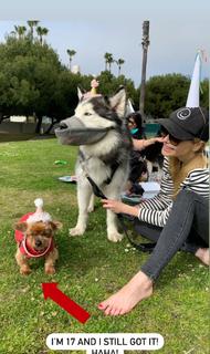 Izabella Miko feet photo thumbnail