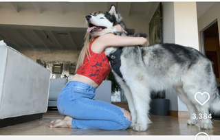 Izabella Miko feet photo thumbnail