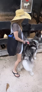 Izabella Miko feet photo thumbnail