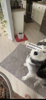 Izabella Miko feet photo thumbnail