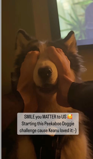 Izabella Miko feet photo thumbnail