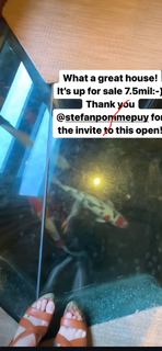 Izabella Miko feet photo thumbnail