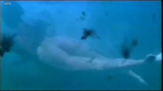 Izabella Scorupco feet photo thumbnail