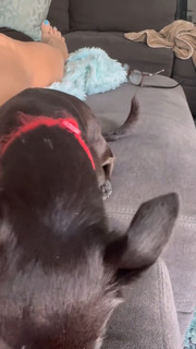 Jacey Birch feet photo thumbnail