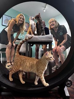 Jacey Birch feet photo thumbnail