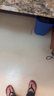 Jacey Birch feet photo thumbnail