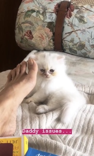 Jacqueline Fernandez feet photo thumbnail