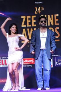 Jacqueline Fernandez feet photo 11