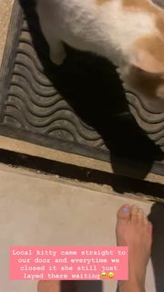 Jacqueline Scislowski feet photo 12