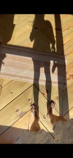 Jade Barbosa feet photo 11