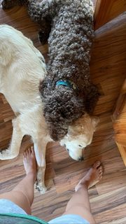 Jade Chynoweth feet photo thumbnail