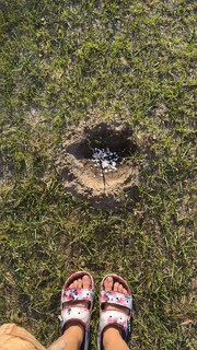 Jade Chynoweth feet photo thumbnail