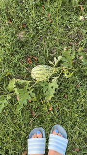 Jade Chynoweth feet photo thumbnail