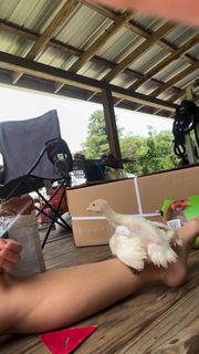 Jade Chynoweth feet photo thumbnail