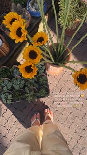 Jade Picon feet photo 14