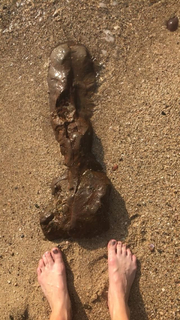 Jahannah James feet photo 5