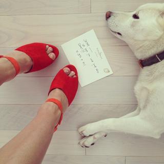 Jaime King feet photo thumbnail