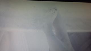 Jaime Murray feet photo thumbnail