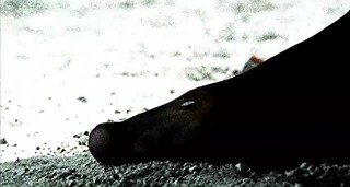 Jaime Ray Newman feet photo thumbnail