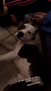 Jaina Lee Ortiz feet photo thumbnail