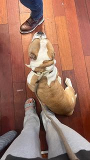 Jami Alix feet photo 19