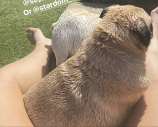 Jamie Hayter feet photo 6