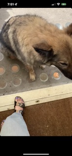 Jamie Lee feet photo 4