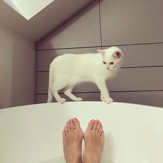 Jana Plodková feet photo 11