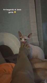 Jana Pérez feet photo 9