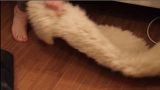 Jane Adams feet photo 16
