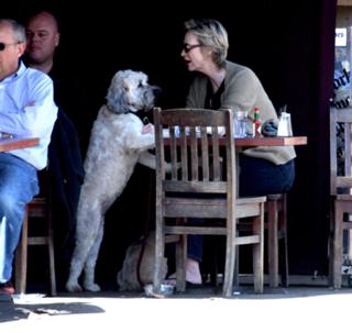 Jane Lynch feet photo 11