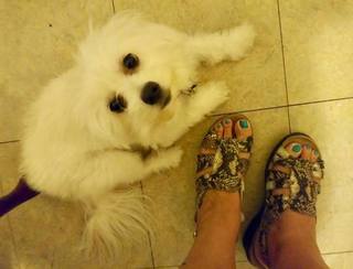 Jane Treacy feet photo 5