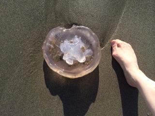 Jane Wiedlin feet photo 4