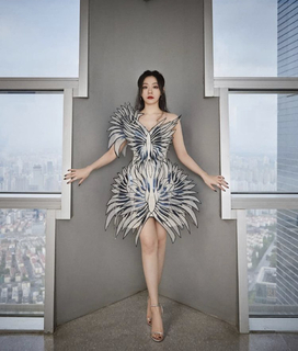Jane Zhang feet photo 17