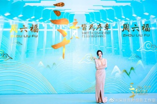Jane Zhang feet photo 16