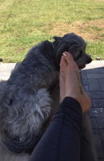 Janel Parrish feet photo thumbnail