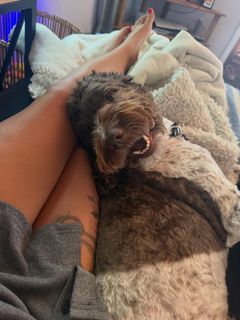 Janel Parrish feet photo thumbnail