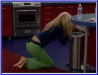 Janelle Pierzina feet photo 1