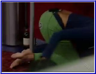 Janelle Pierzina feet photo 20