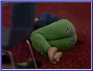 Janelle Pierzina feet photo 18