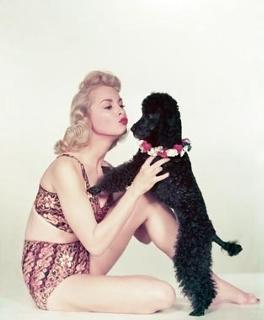 Janet Leigh feet photo thumbnail